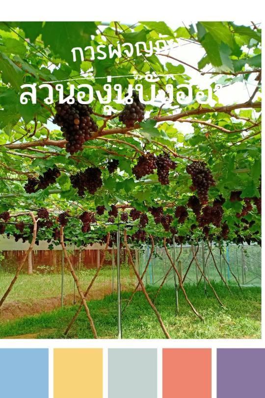 Bang Hon Homestay Яо-Ной Экстерьер фото